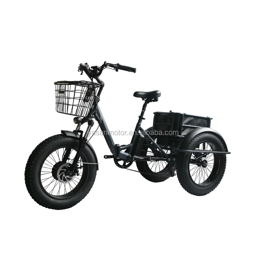 Three Wheel Fat Tire 24 Inch Electric Bike Folding 48v Bicycle 250w/500w/750w/1000w Buy