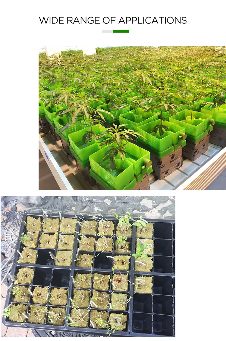 Professional Hydroponics 6x6 Inch Insulation Rock Wool Grow Cubes