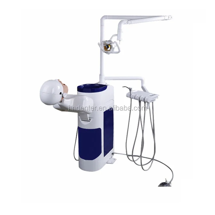 dental simulation manikin.jpg