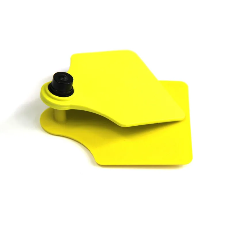 rfid ear tag (4)