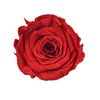 High quality natural fresh forever rose preserved roses heads ecuador preserved flowers