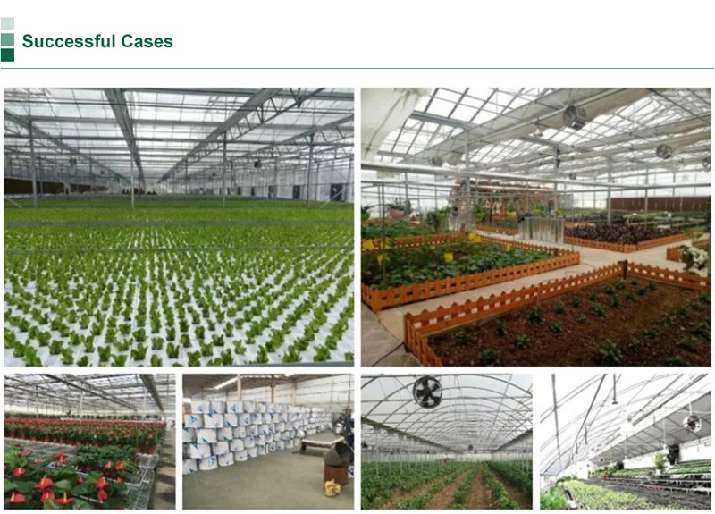 Successful Case.jpg