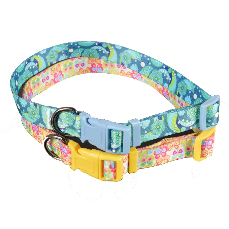 Pet Collar-68