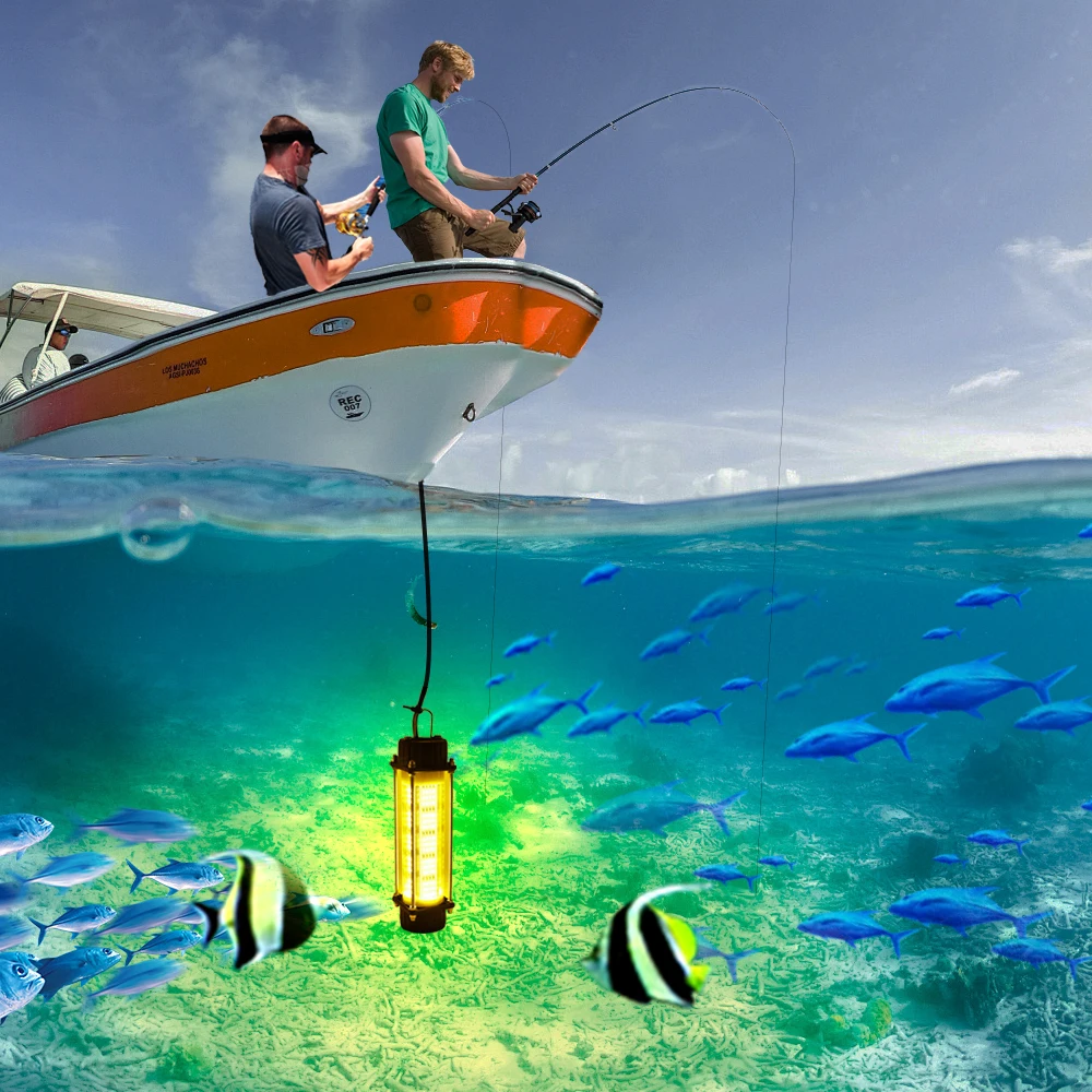 best place to buy cheap fly fishing rods Lamson Radius Rod 4wt 10'0