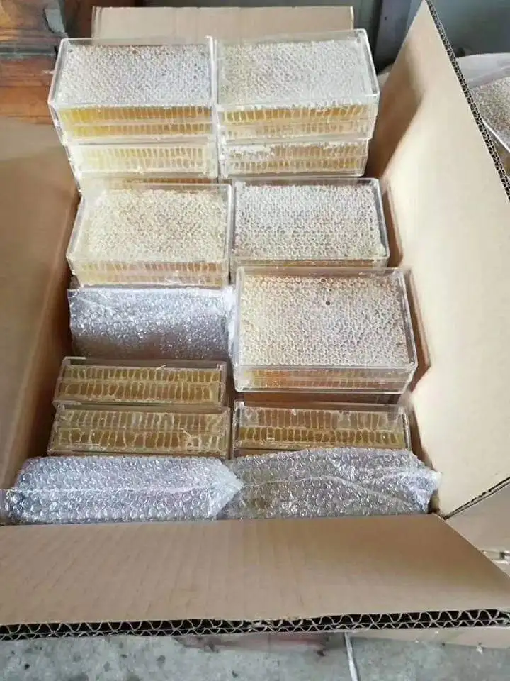 250g Transparent Honey Comb Box Comb Honey Box Comb Honey Cassette With Wax Foundation Buy