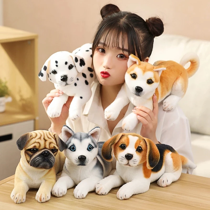 OEM Funny Soft Dog Pet Plush store Toy