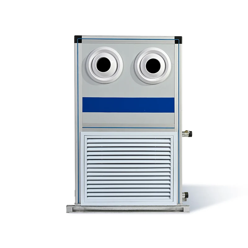 Air Handling Unit, 3000m³ - detail 6