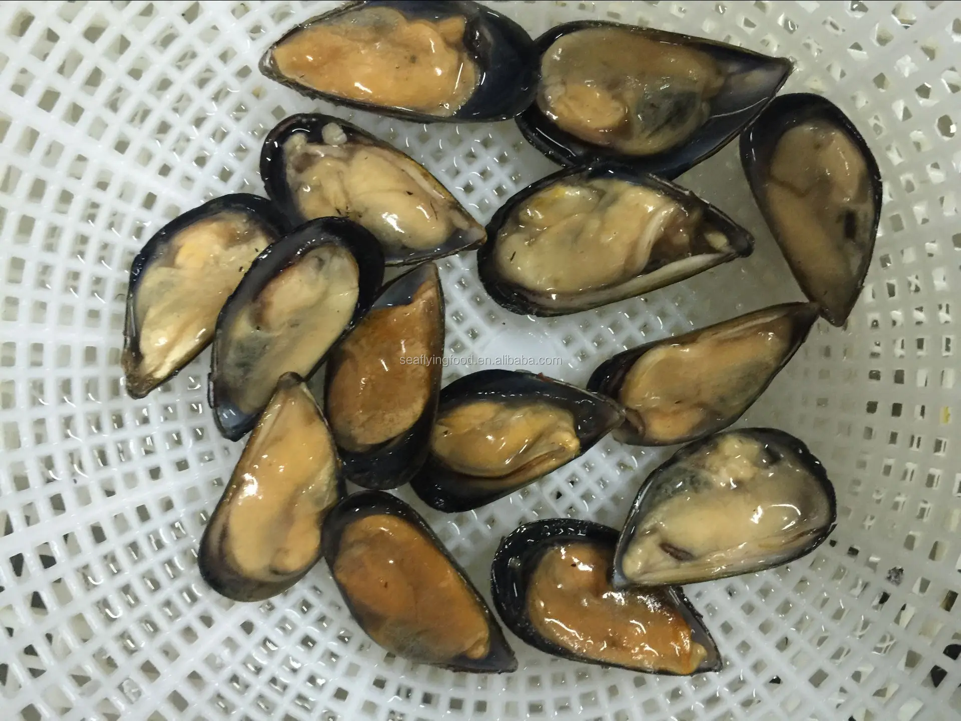 Frozen Cooked Mussel With Half Shell Buy Mussel,Blue Mussel Shells