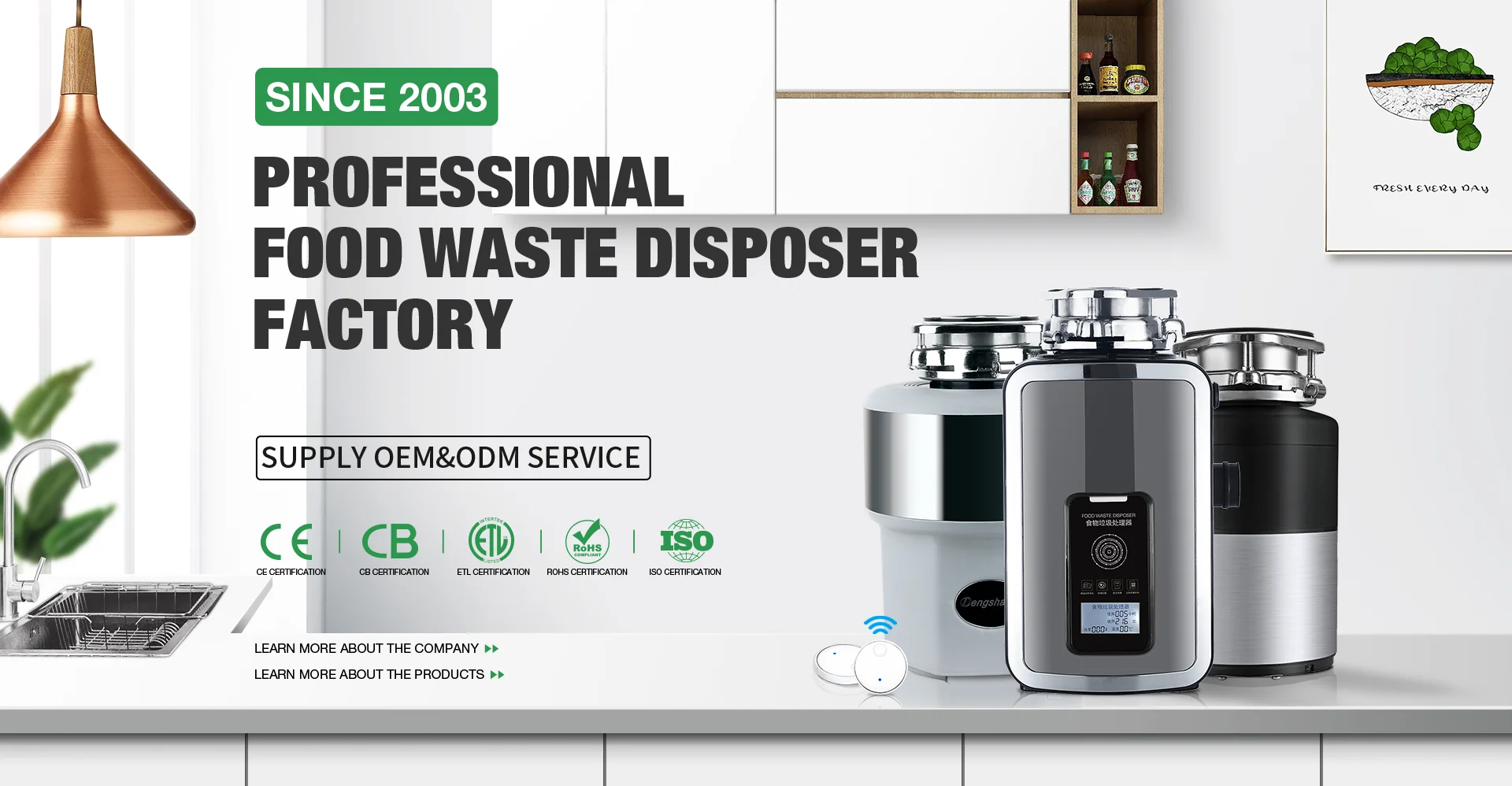 BLDC Motor For Food Waste Disposer