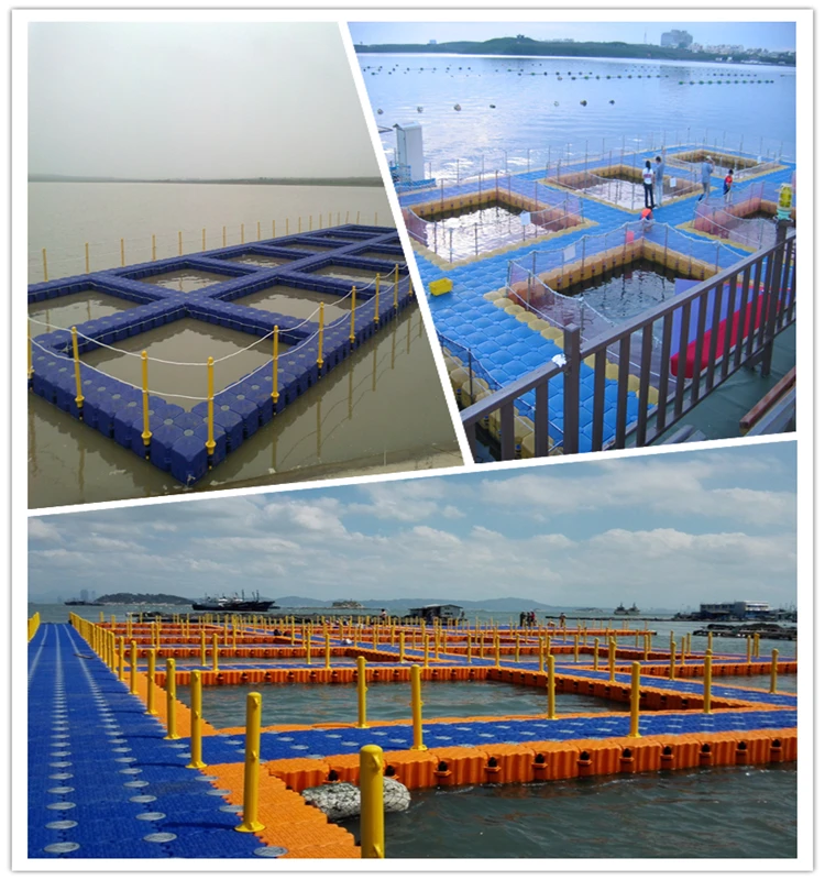 fish farming 3.jpg