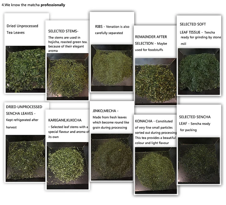 Wholesale Usda Japan Ceremonial Grade Green Tea Latte Everyday Organic Matcha Powder - 4uTea | 4uTea.com