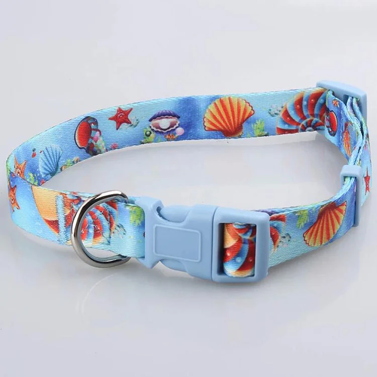 Pet Collar-34