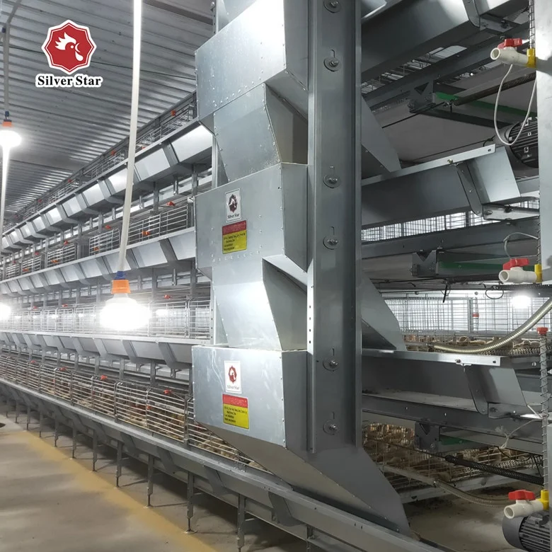 Chicken farm building broiler cage with full automatic poultry equipments.jpg