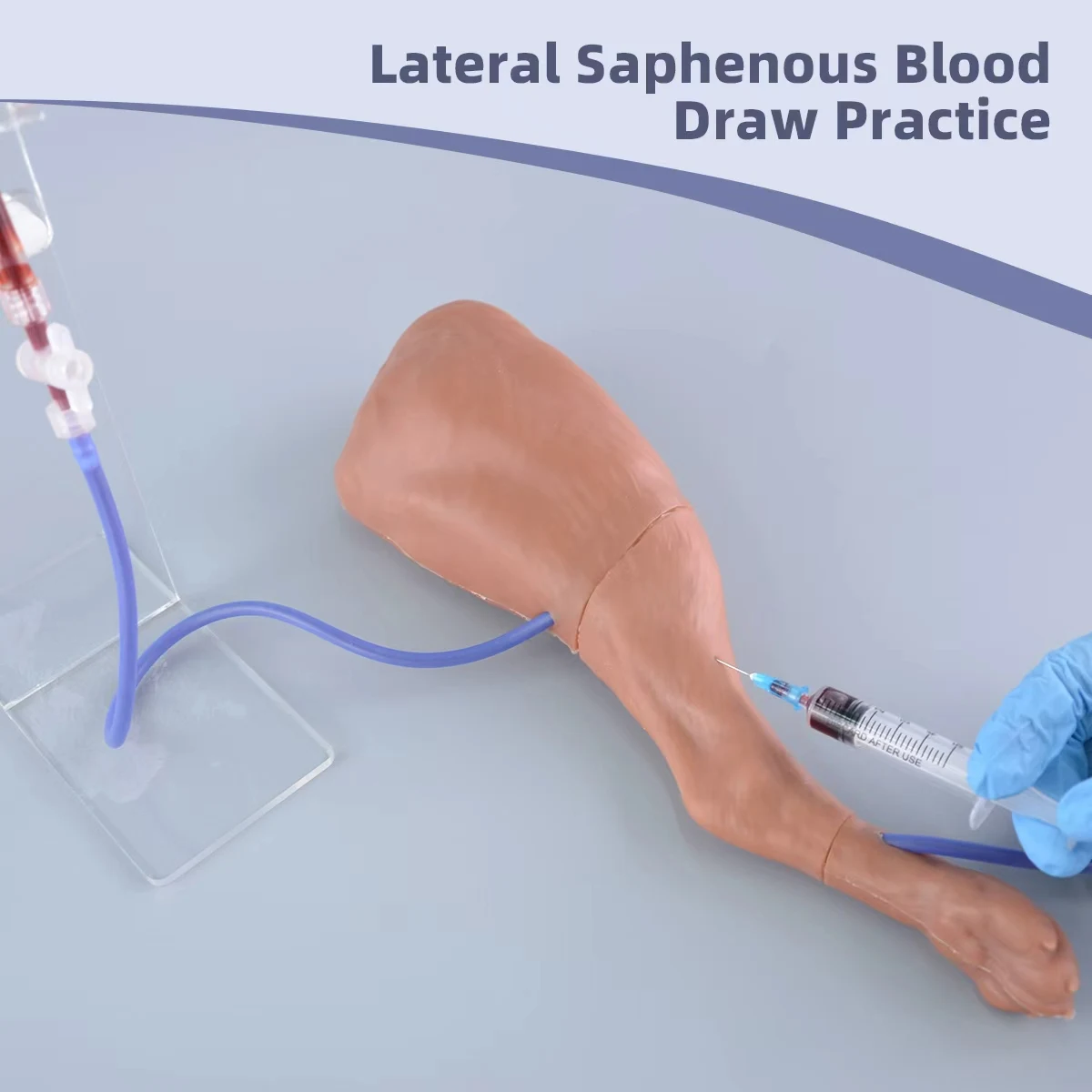 Veterinary Dog Injection Practice Canine Leg Injection Trainer for IM&IV Injections Medical Saphenous Vein Blood Collection