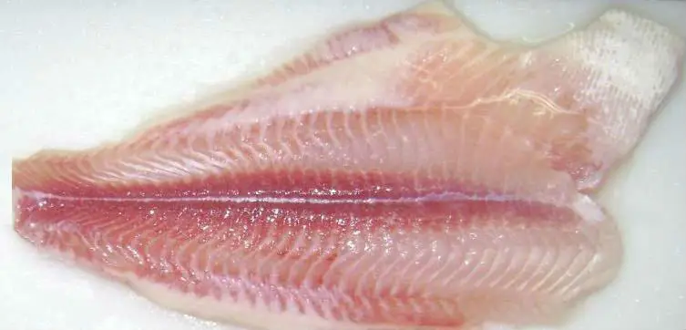 untrimmed fillet (1)