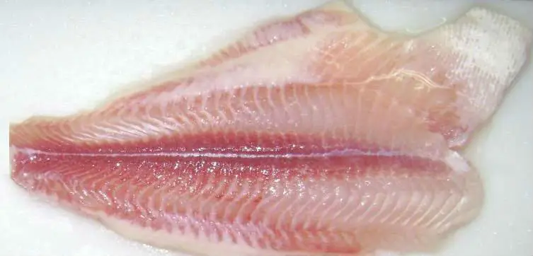 Gato Fish Pangasius Pez Swai Buy Pangasius Gato Basa Pescado Pangasius De Pescado Product On Alibaba Com
