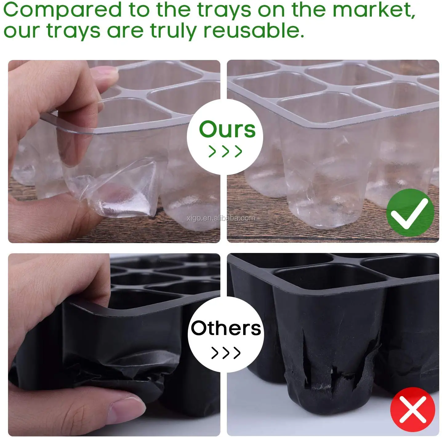 Hot Sale Seed 6 / 12 Cells Per Tray Germination Vegetable Plant Plastic