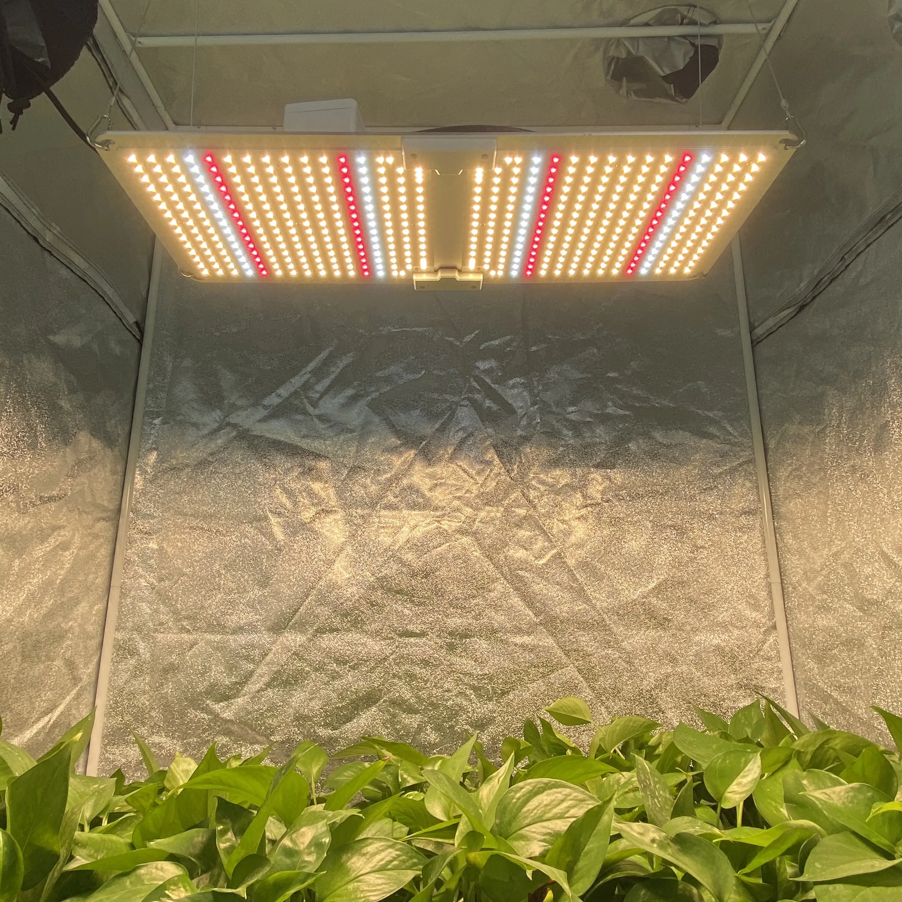 More Yield Full Spectrum High Quality LED grow light 220W 200W 320W ip65 lm301h+660nm