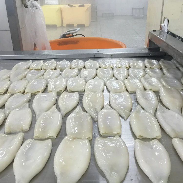 Frozen squid tubes
