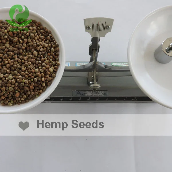 Wholesale Bulk Hemp Seed With Export Hemp Seeds Buy Hemp Seeds,Hemp