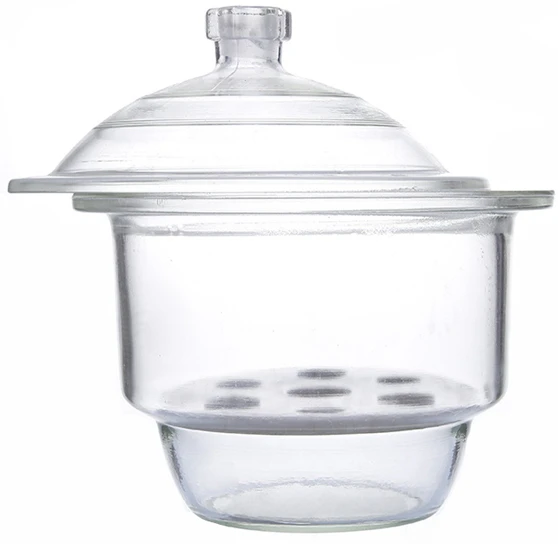 Glass Vacuum Desiccator.jpg