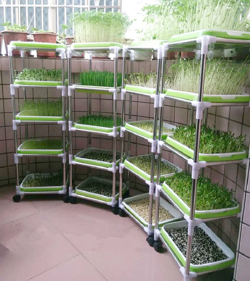 Теплица Для Выращивания Цветов Купить