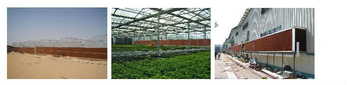 D5Q~O22L9M2FNKMVYG$F3%R