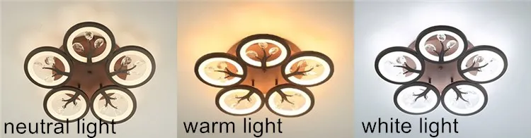 Modern new design creative led ceiling light black simple led light for living room lamp surface mounted lighting