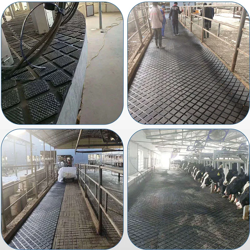 17mm thickness durable rolled rubber dairy cow mats