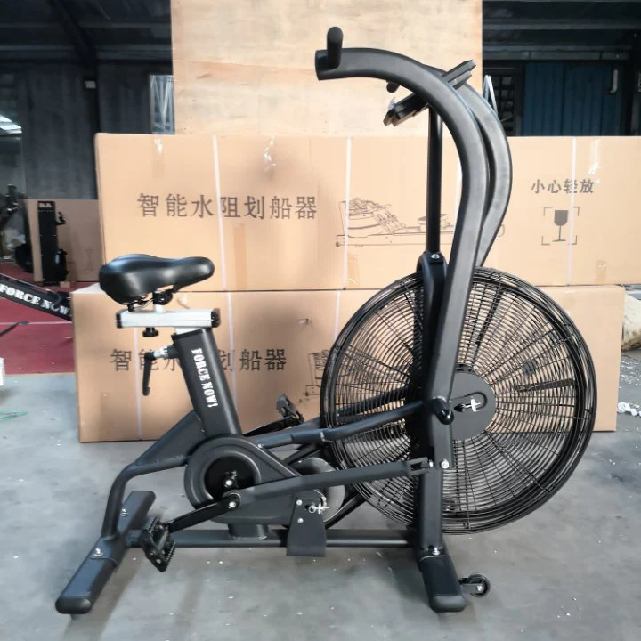 Assault AirBike 1.jpeg