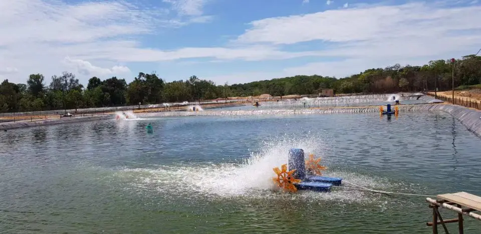 polythene sheet for pond lining