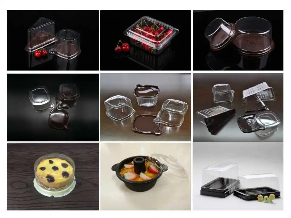 Blister tray  (2).jpg