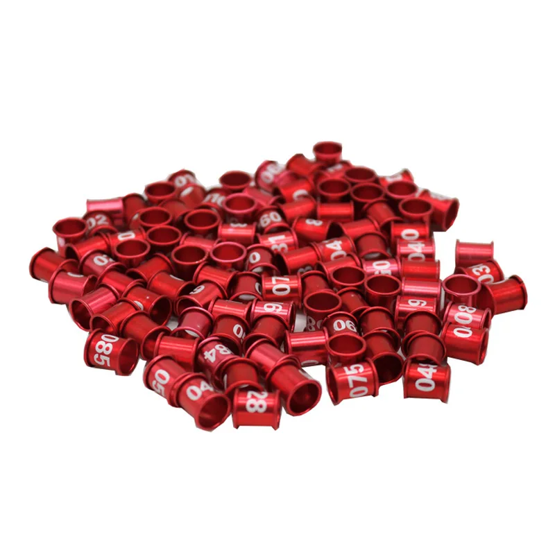 YZ-07 bird ring 2.jpg