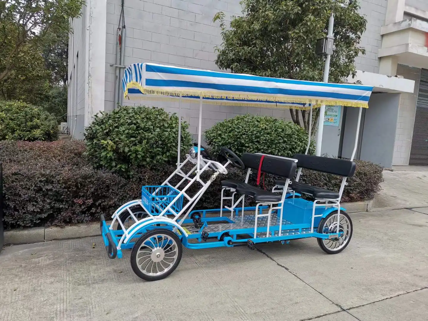 Electric Assisted 4persons 4wheels Surrey Bike With Led Light And Front