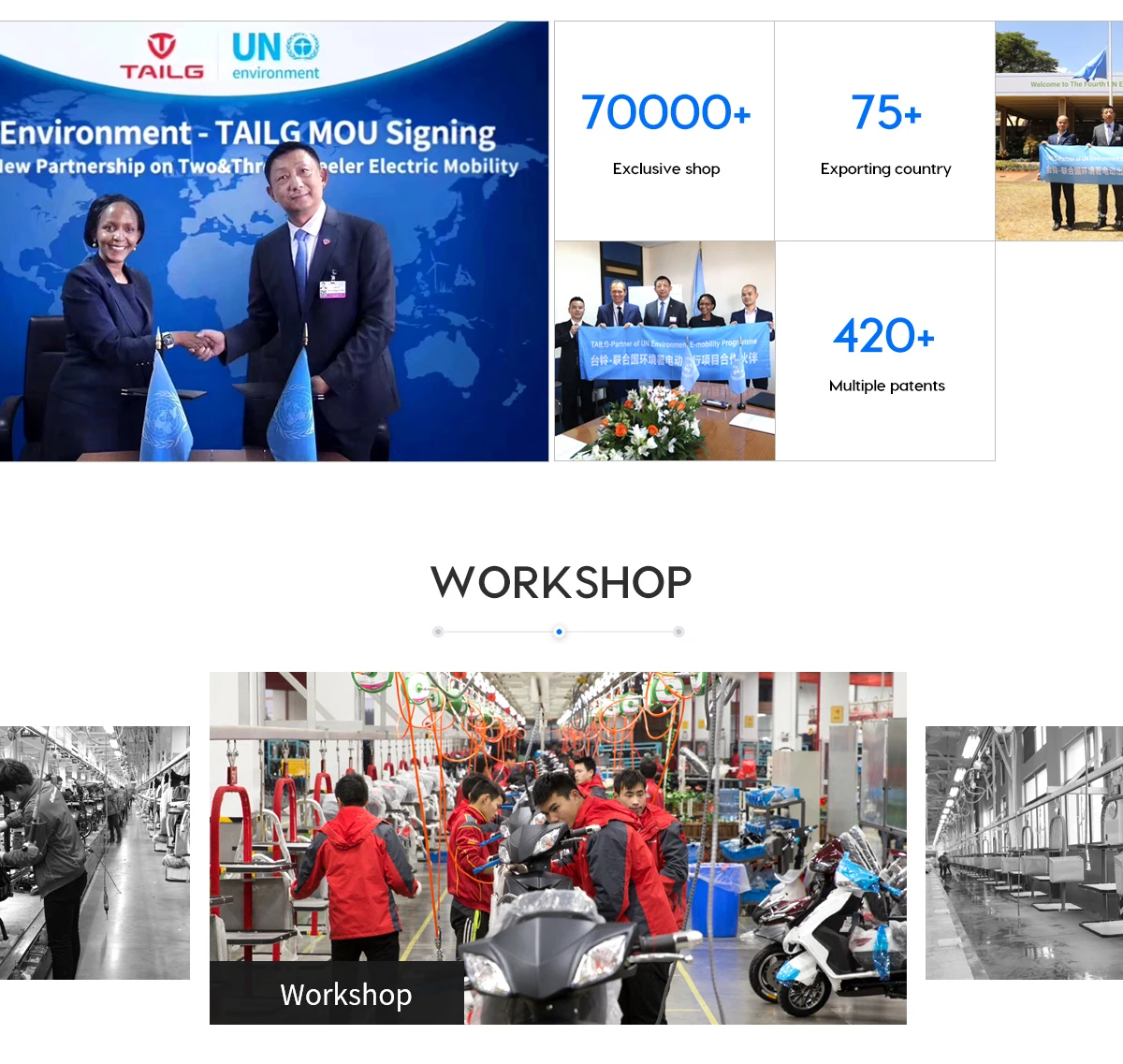 Dongguan Tailing Electric Vehicle Co., Ltd. Electric Motorcycle