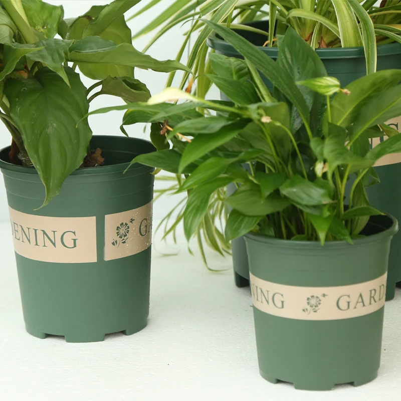 
big plastic pots for plants 7 gallon air flower pot outdoor 7 gallon black nursery pots 