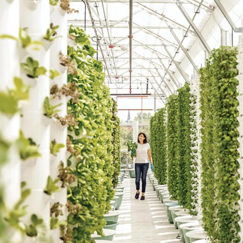 hydroponic grow system home depot