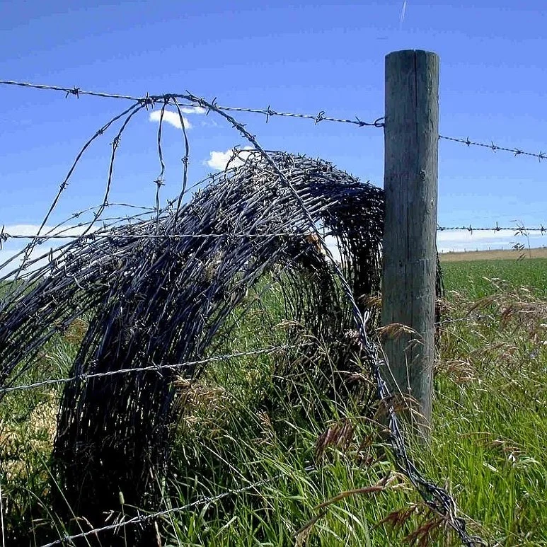 galvanized barbed wire fence design philippines length per roll