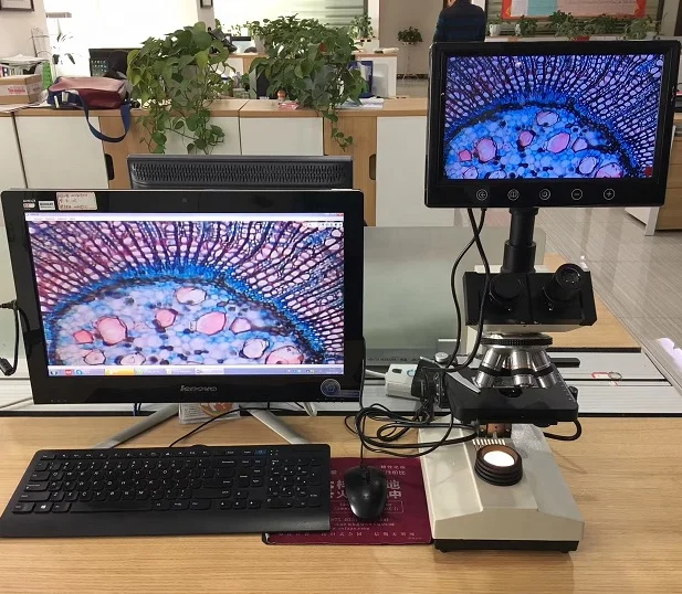 Best Seller Trinocular Biological Microscope With Screen,Connect To Pc