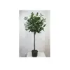 120cm (47.2") New Chinese Style PE rubber artificial indoor decorative trees Laurel Tree for plastic laurel tree in pot
