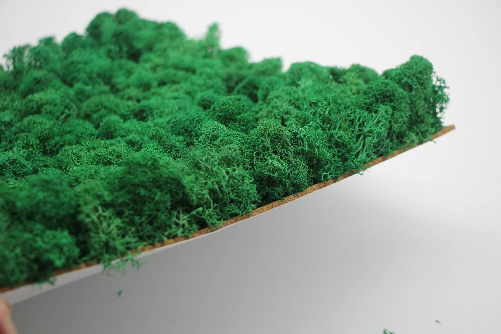 Yunnan Factory Wall Green Moss Wall Art Panels Preserved Forest Moss Decorative Preserved