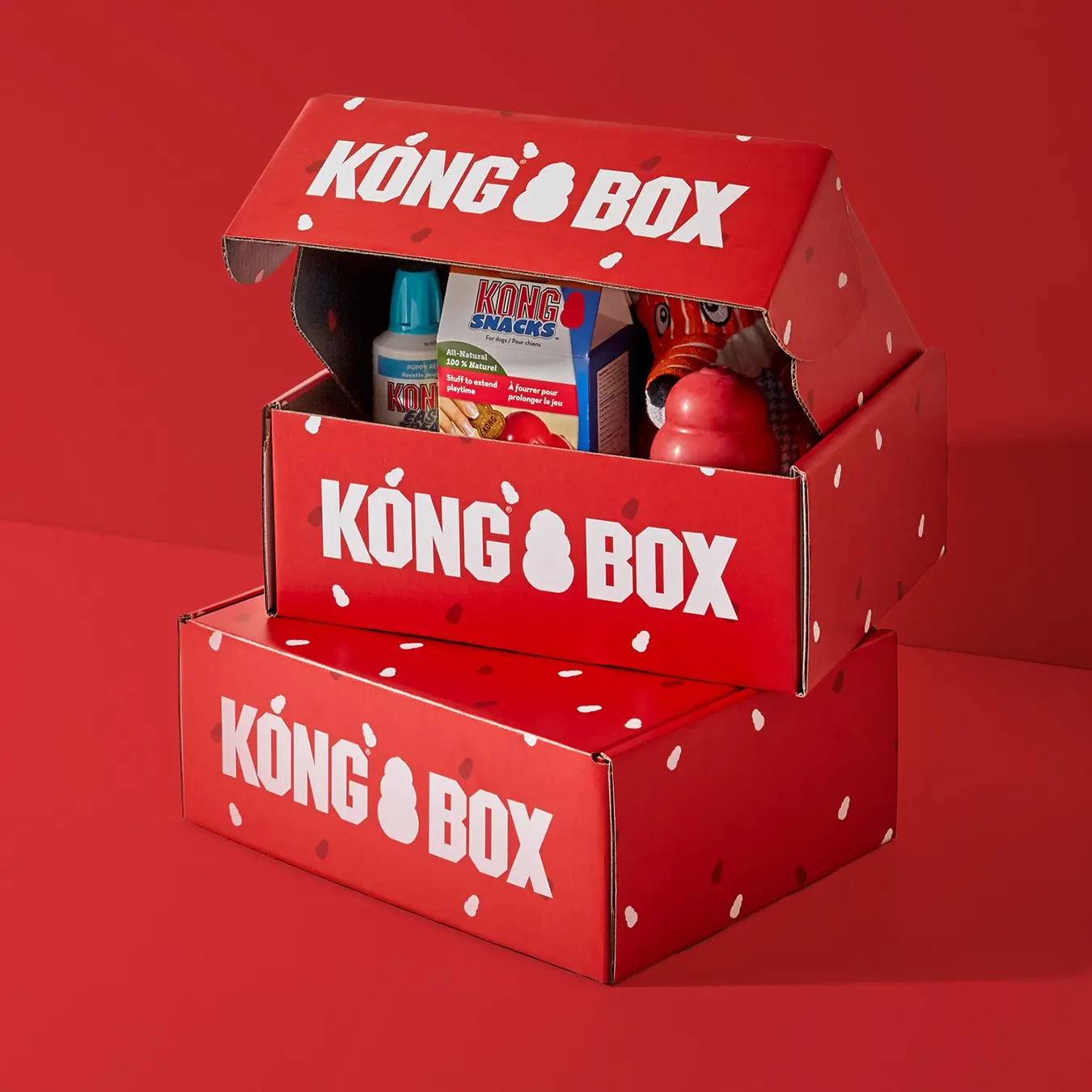kong toy box