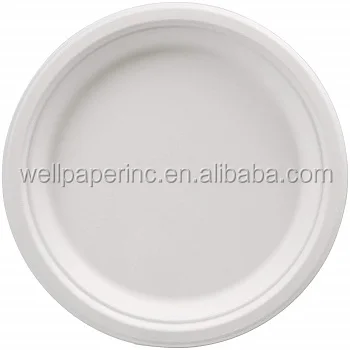 9'' paper plate 07.jpg