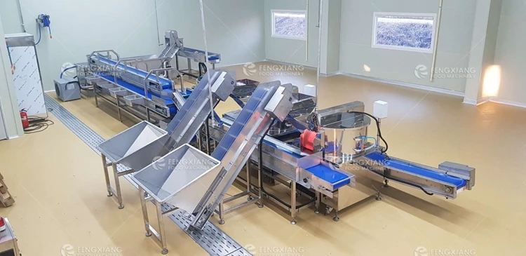 peeler3.jpg