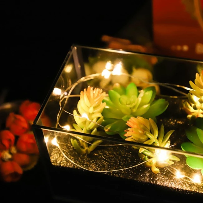 批发定制led玻璃罐植物多肉植物玻璃立方体罐 Buy 植物玻璃花盆 花卉玻璃花盆 多肉植物玻璃立方体花盆product On Alibaba Com