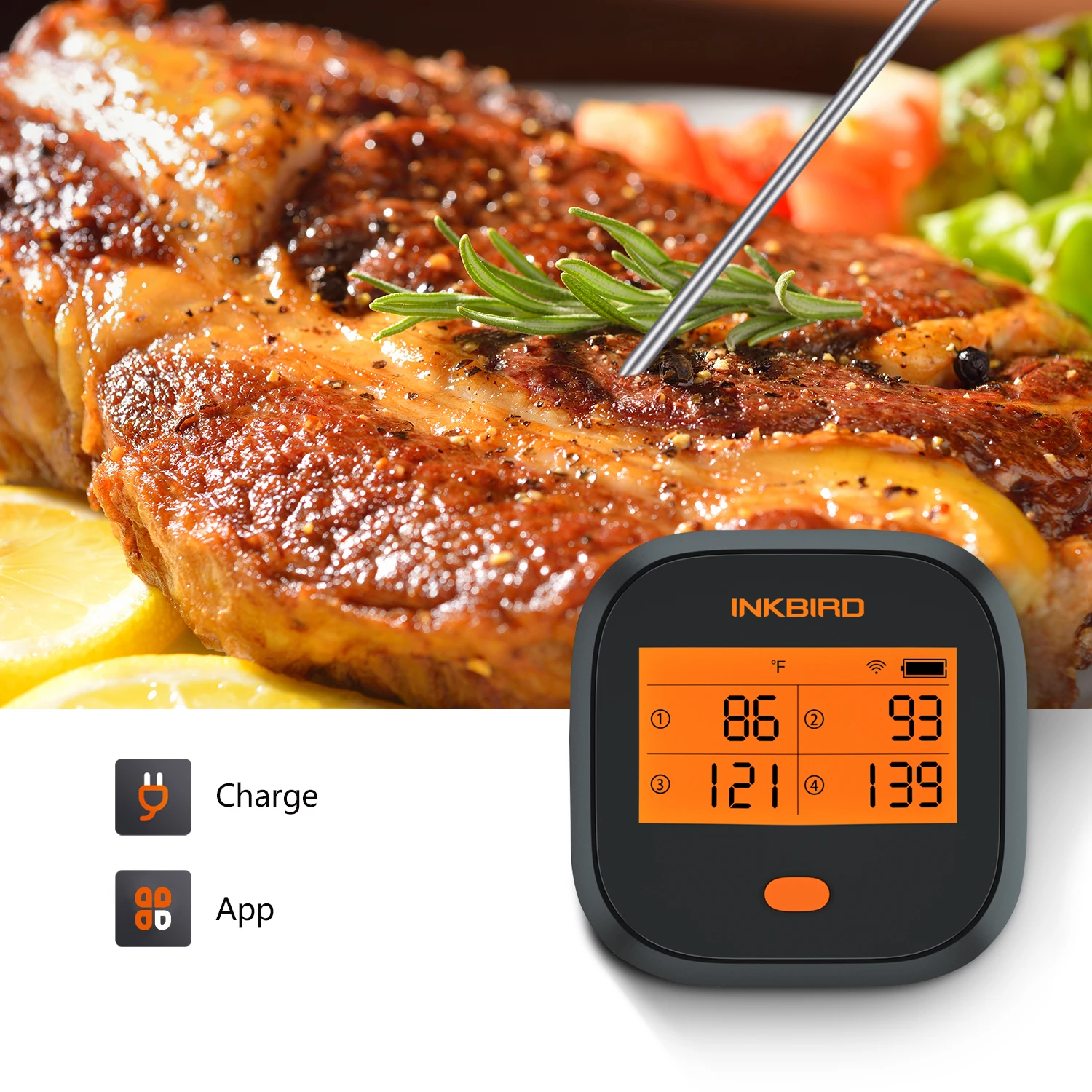 Waterproof Food Thermometer Wifi Bbq Thermometer - Buy Wifi Bbq