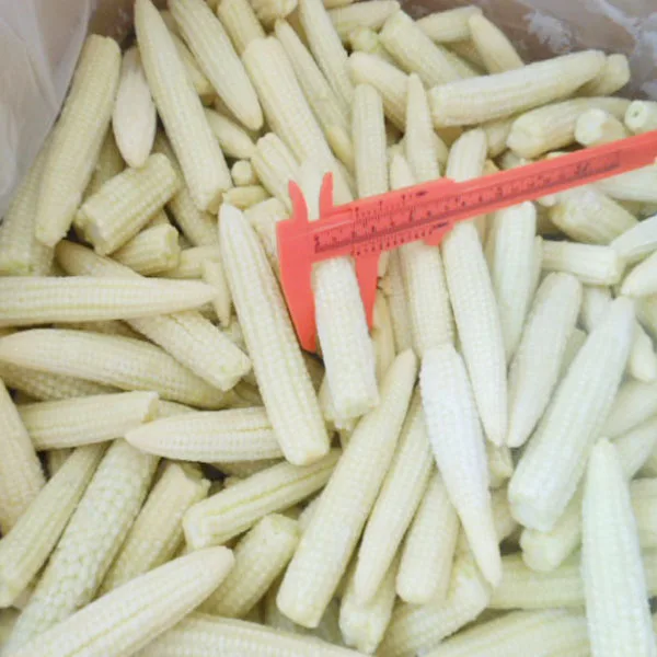 
Premium quality frozen baby yellow corn whole 