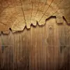 Good quality Natural wooden grain tile Floor wood tiles wood like tile wooden tile 150*600 Best price rectify