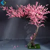 Design Peach Tree Work Colour Tree With Pink Flower