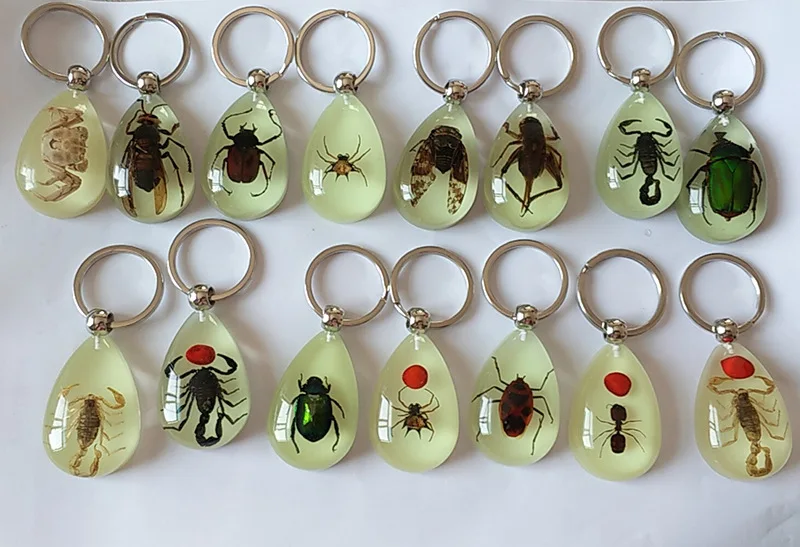 Glowinthedark Real Insect Keychain Luminous Handmade Resin Natural